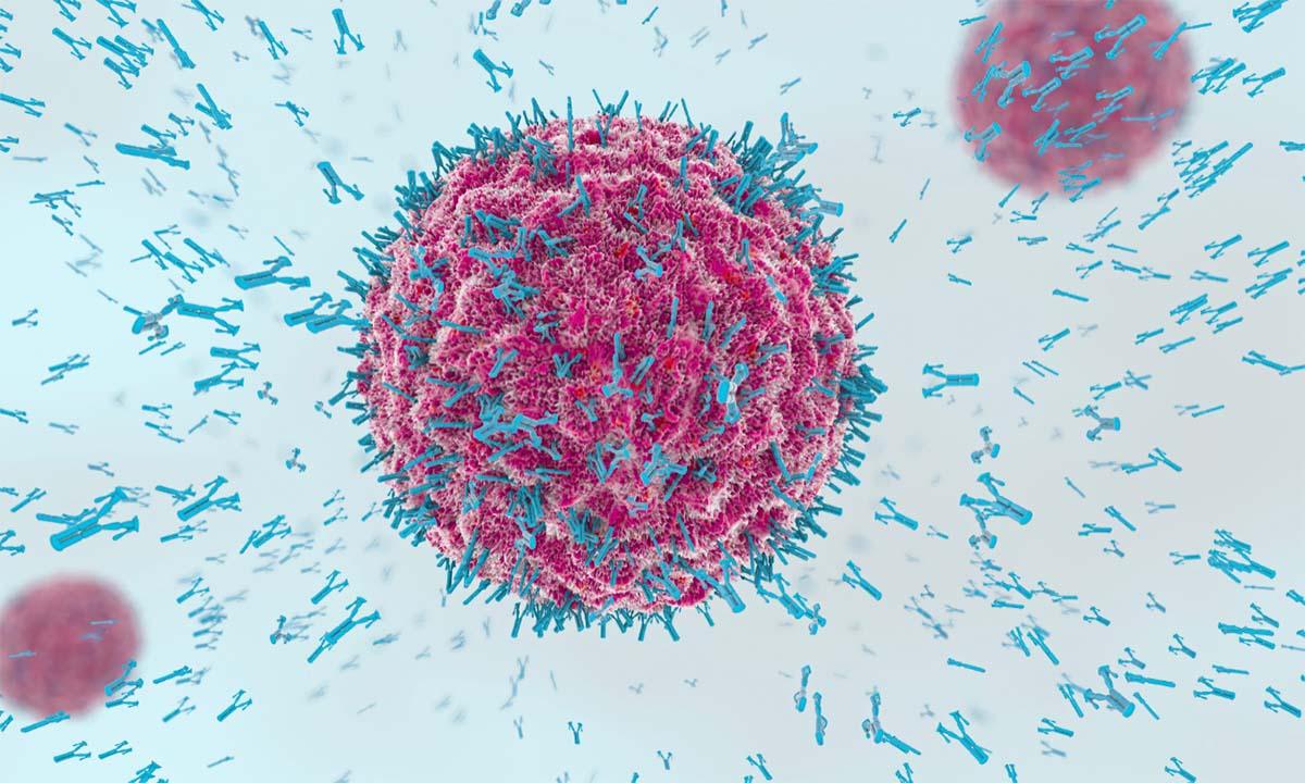 Glutathione and T-Cell stimulation within our Immune System - Well-actually.co.uk